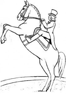 Pferde-11