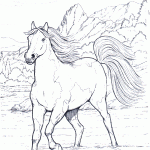 pferde-16