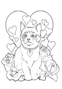 katze 12