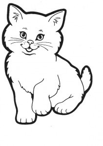 katze -1