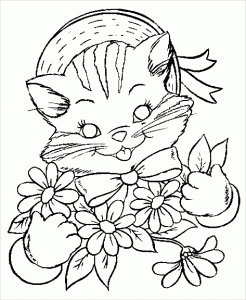 katze 8