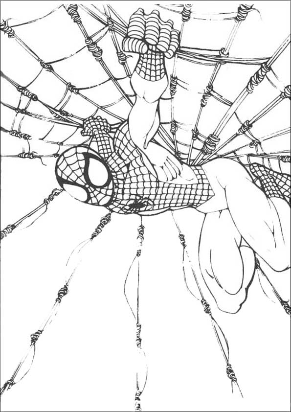 spiderman7  malvorlagen ausmalbilder