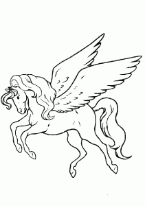 pferde-24