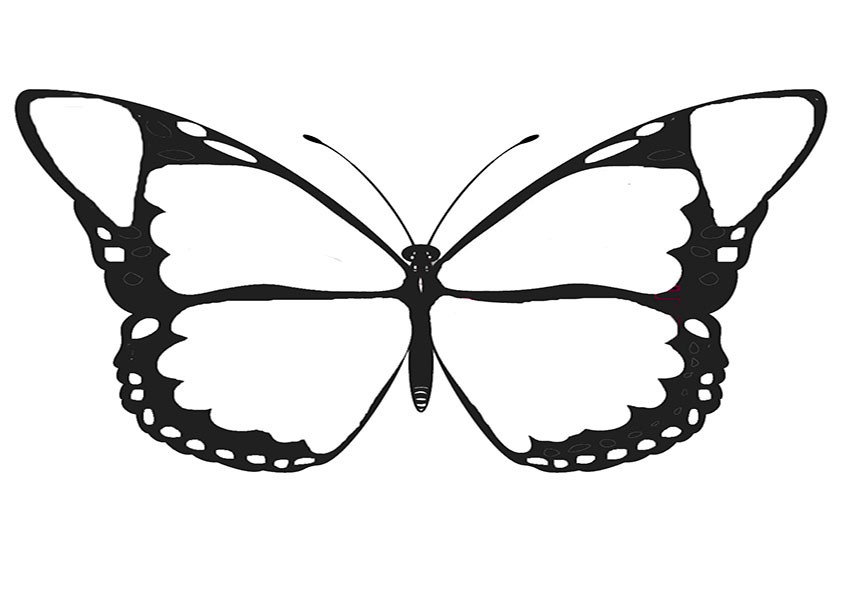 Malvorlagen-Schmetterling  1