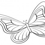 Schmetterling-11