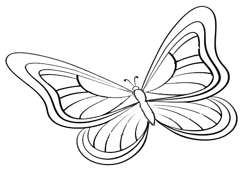Malvorlagen-Schmetterling  11
