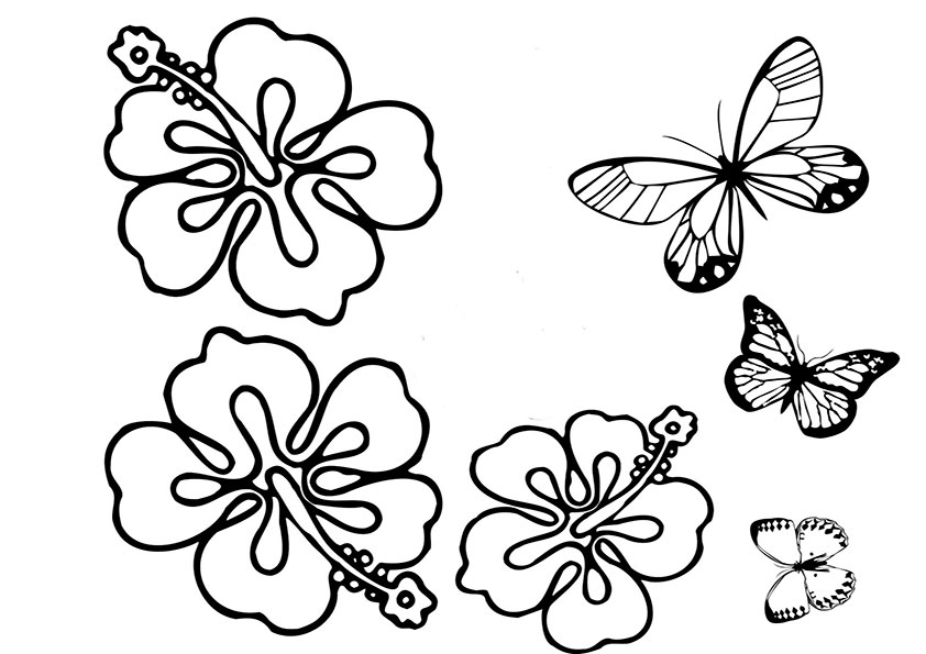 Malvorlagen-Schmetterling  4