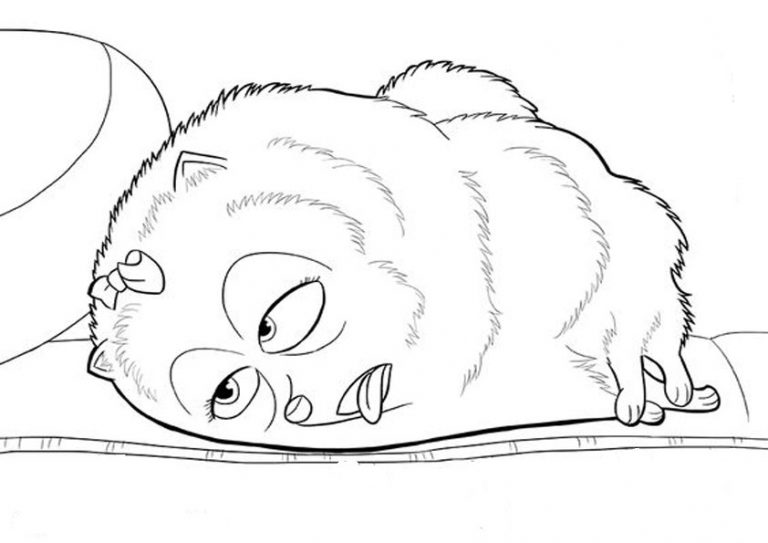 pets6 Malvorlagen Ausmalbilder pets6 Malvorlagen Ausmalbilder